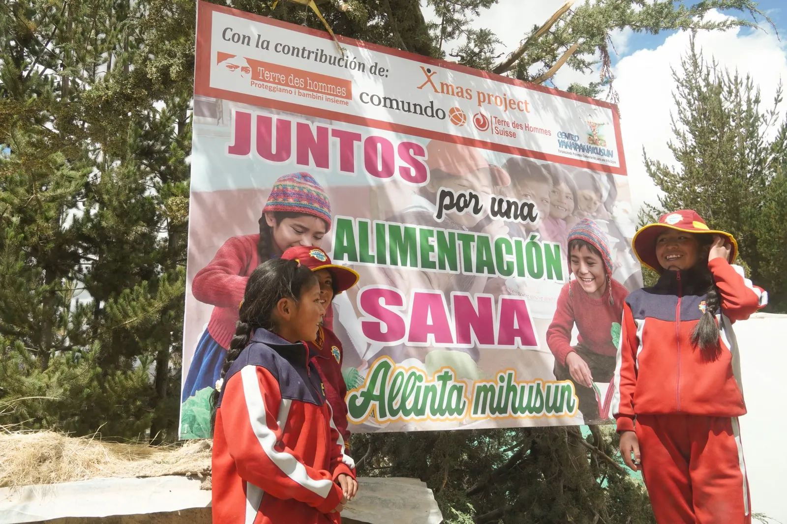Fitotoldos que nutren: sembrando salud y esperanza - imagen 1