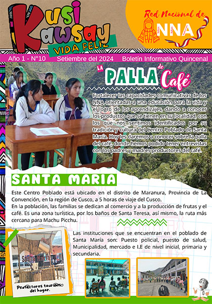 Boletín N° 10: Palla de cafe